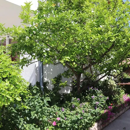 A 4 With Terrace Garden And Sea View Apartament Barbat na Rabu