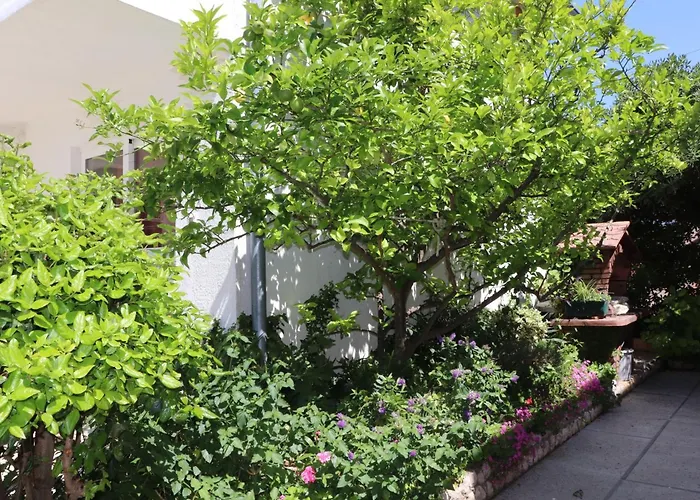 A 4 With Terrace Garden And Sea View Appartement Barbat na Rabu
